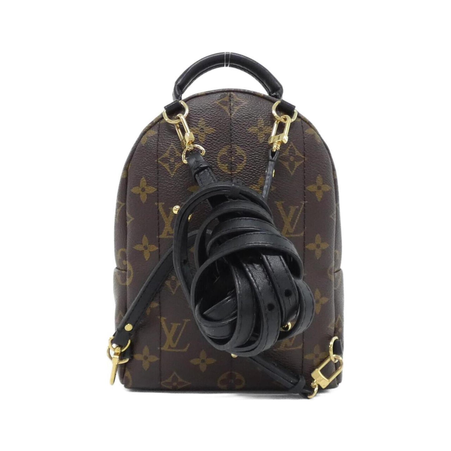 Louis Vuitton Monogram Palm Springs Backpack Mini M41562