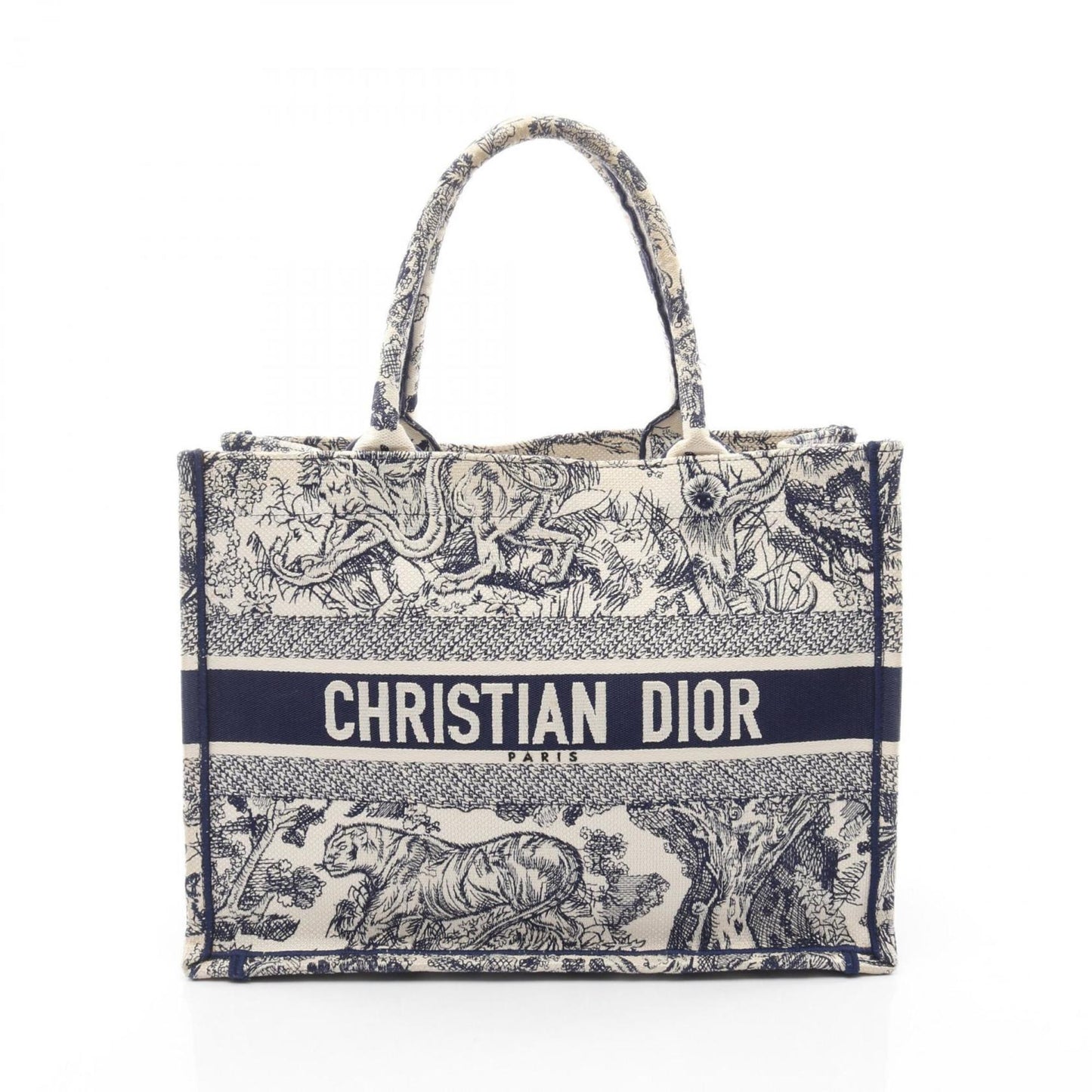 Christian Dior Book Tote Medium Tote Bag