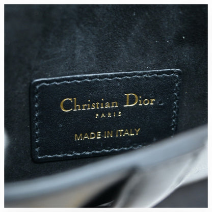Dior Saddle Bag Waist Cd Hardware