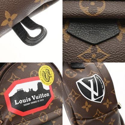 Louis Vuitton Louis Vuitton Monogram Palm Springs Backpack World Tour M42971
