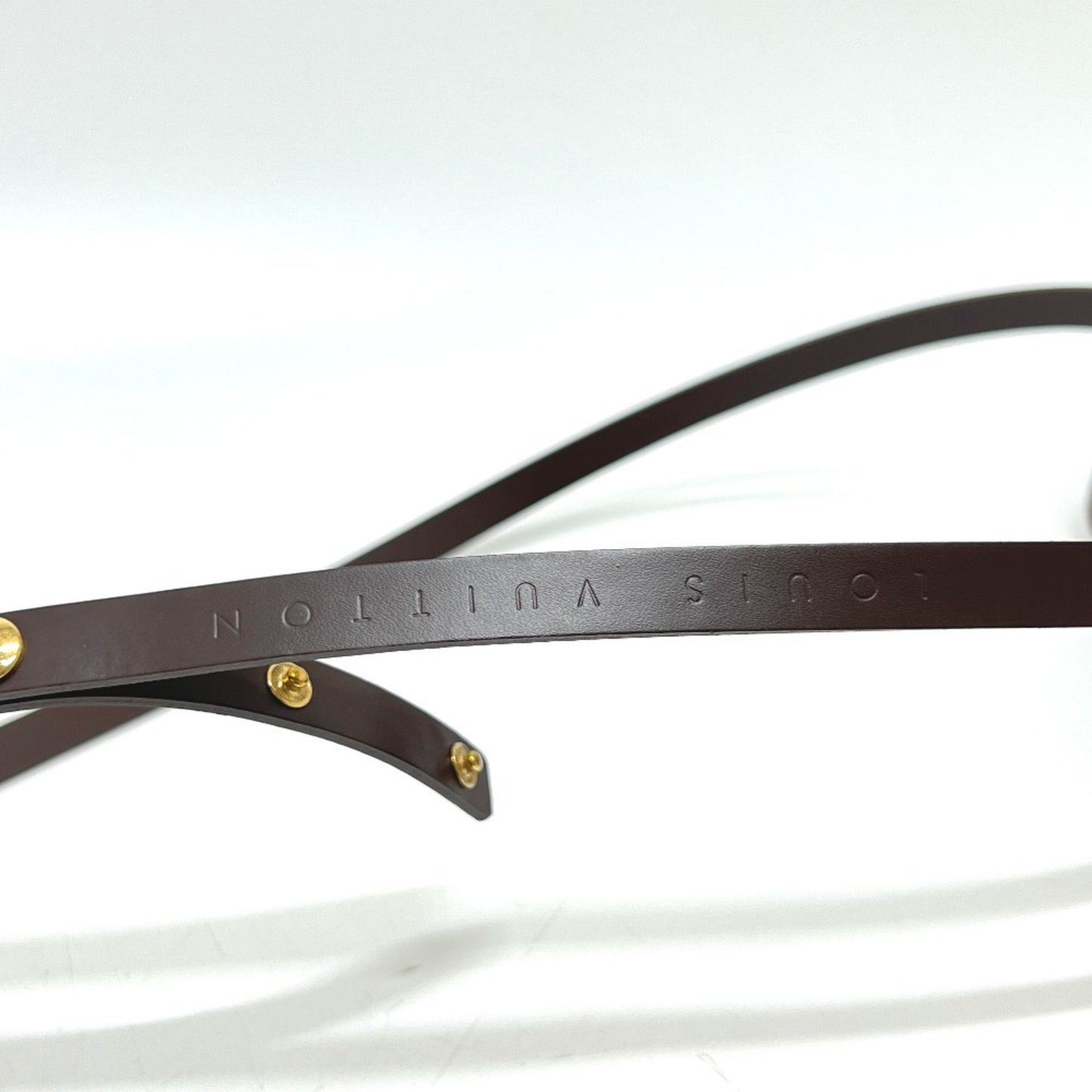 Louis Vuitton Florentine Pochette N51856