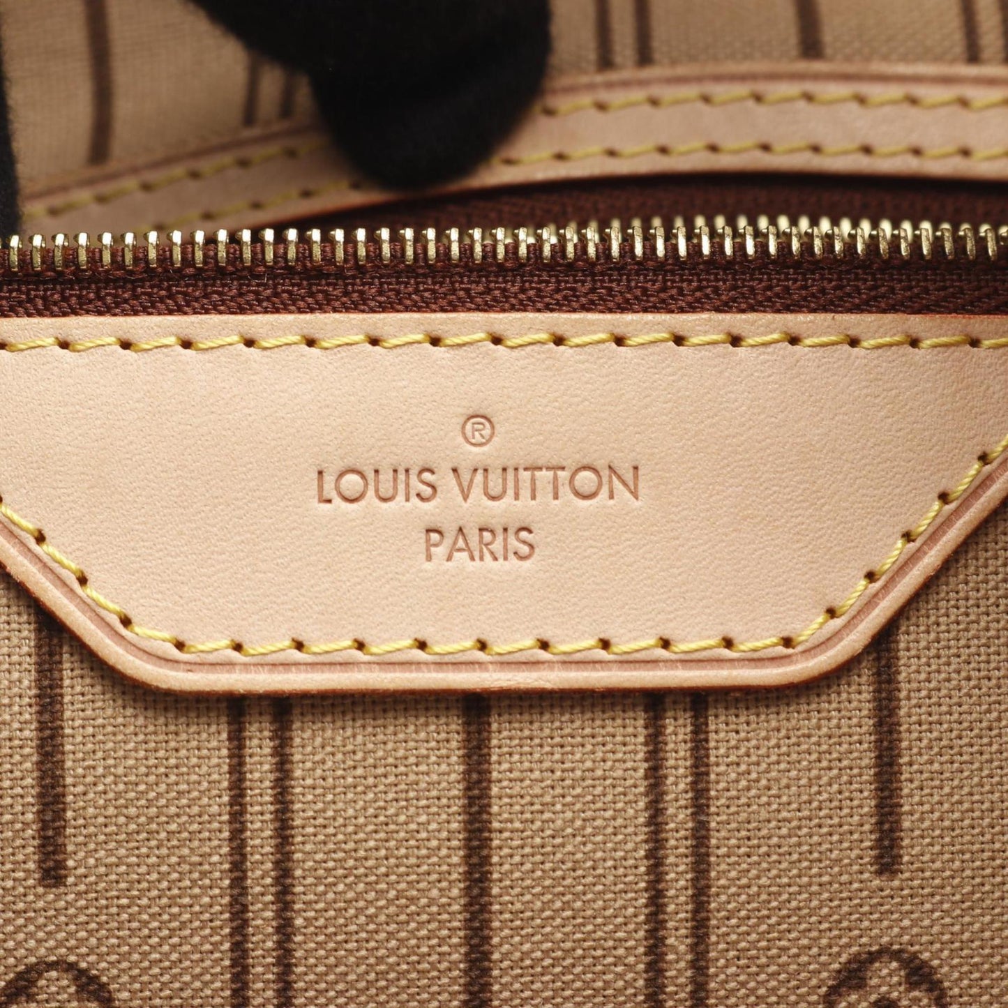 Louis Vuitton Delightful Pm Shoulder Bag