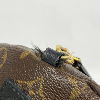 Louis Vuitton Monogram Palm Springs Backpack Mini M41562 Brown