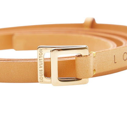 Louis Vuitton Monogram Florentine Pochette Shoulder Strap