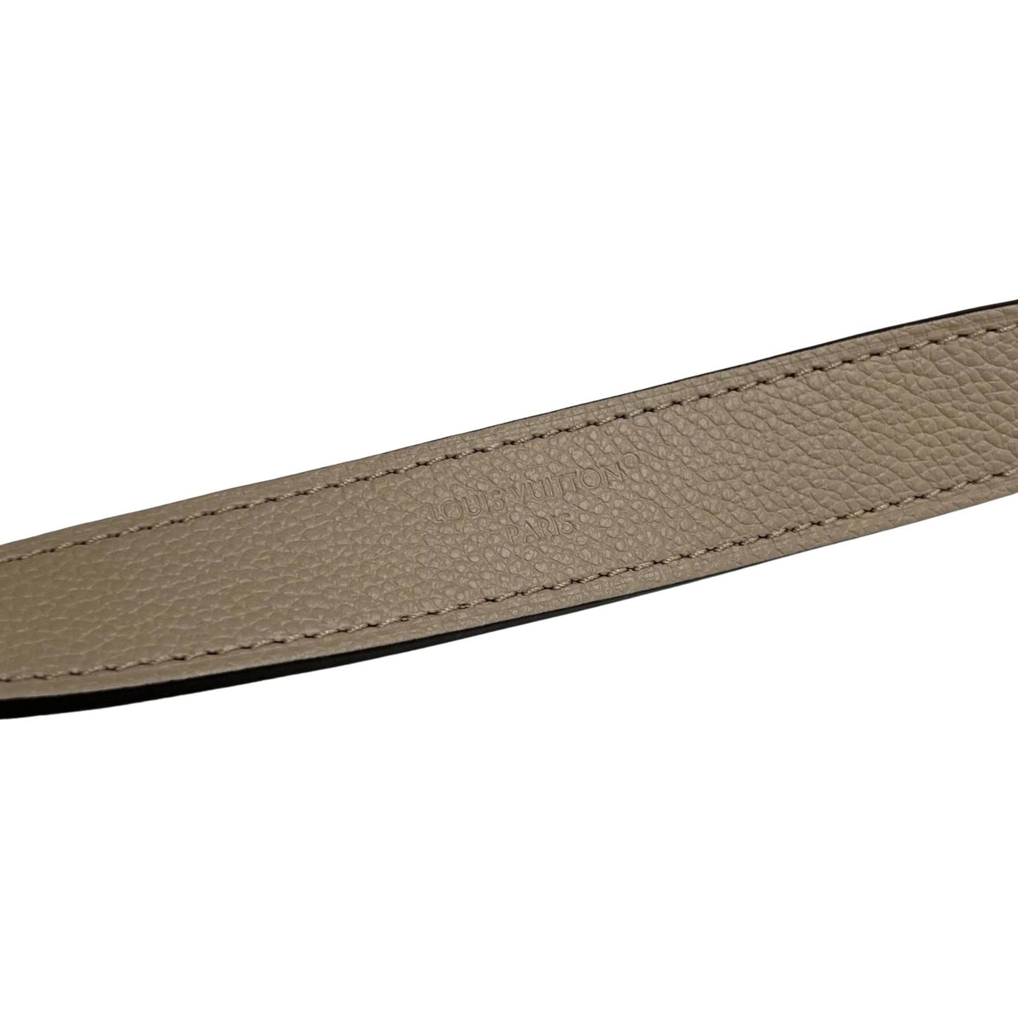 Louis Vuitton Diane 2-Way Shoulder Bag M46583 Monogram Empreinte In Greige