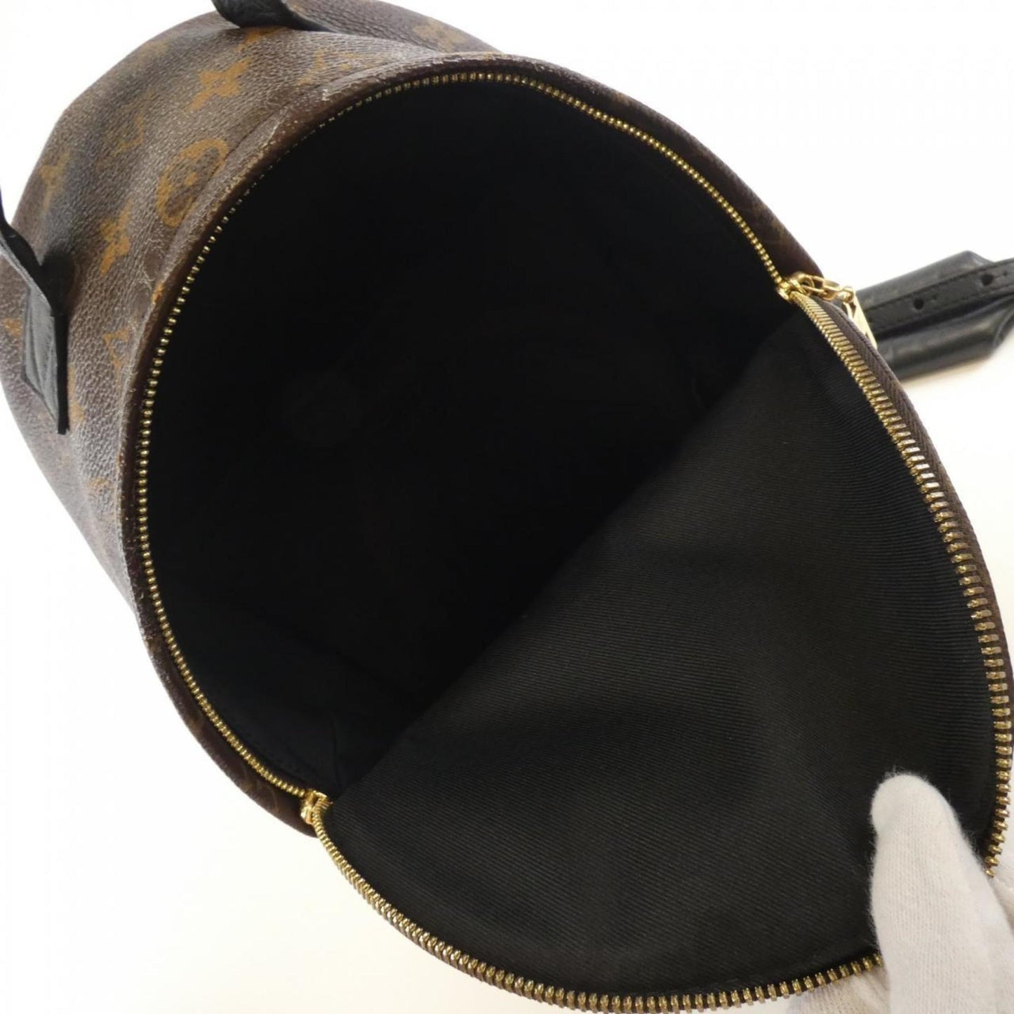 Louis Vuitton Monogram Palm Springs Backpack Pm M41560