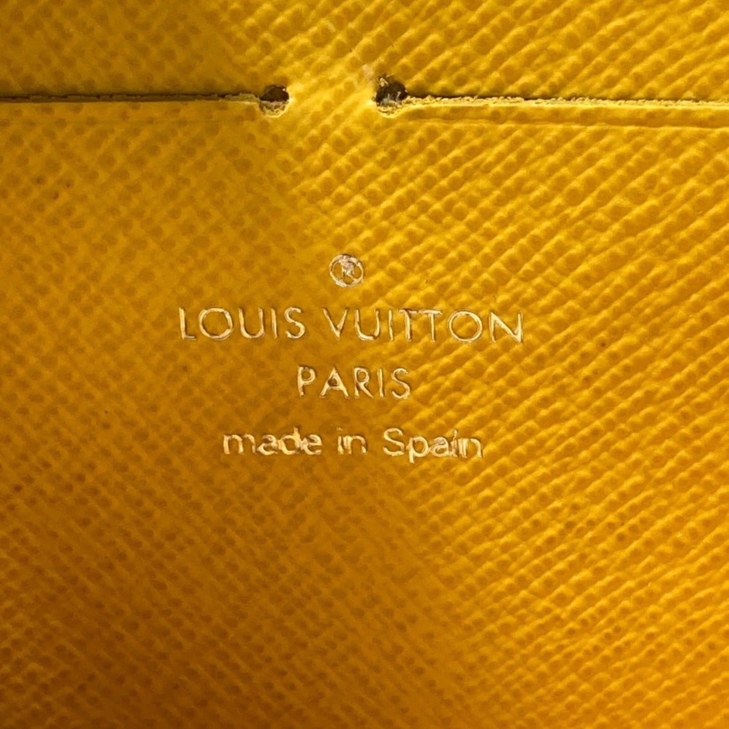 Louis Vuitton Epi Zippy Wallet Long M67805 Gray X Yellow