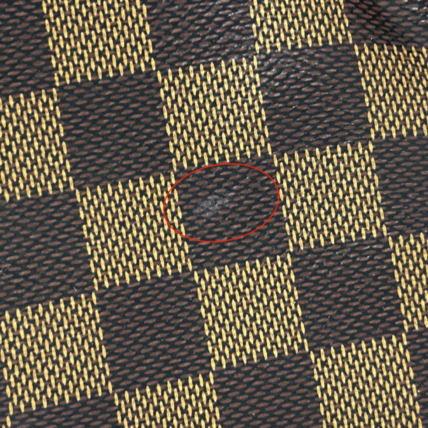 Louis Vuitton Damier Trevi Pm Bag