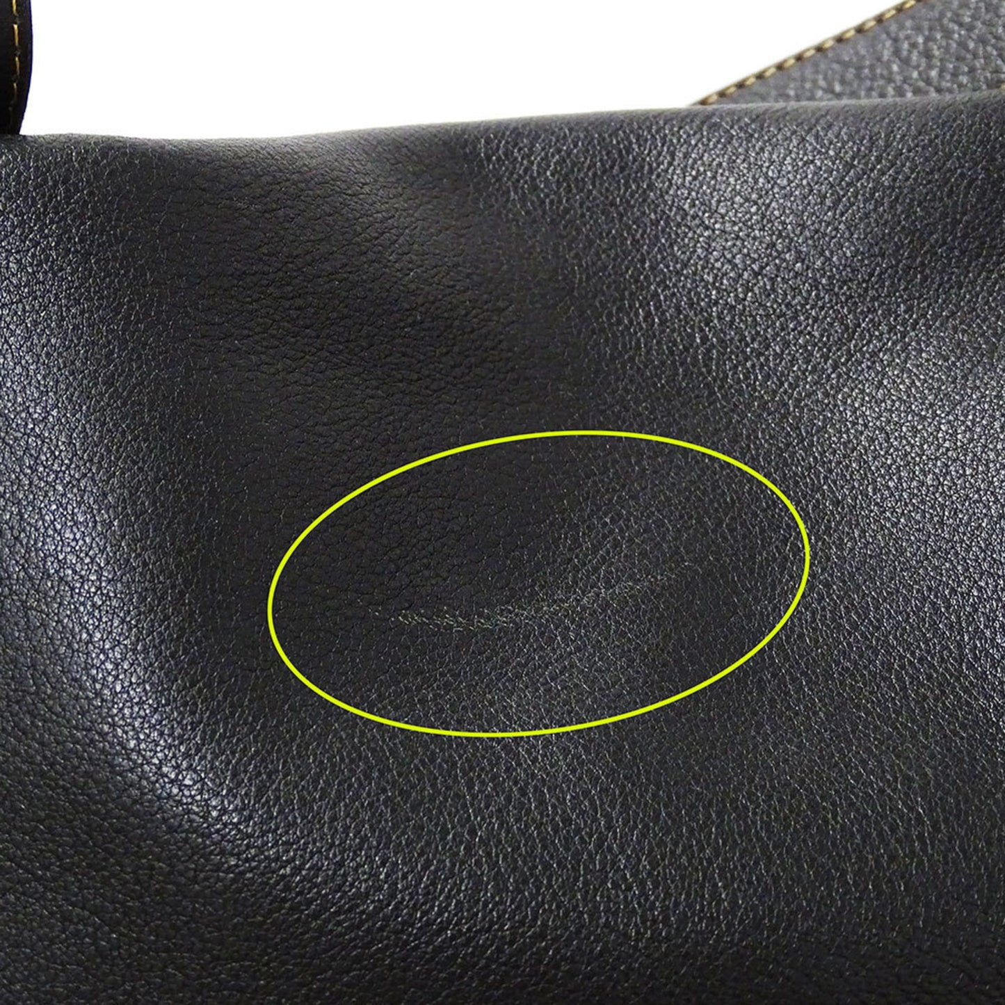 Loewe Anton Shoulder Bag