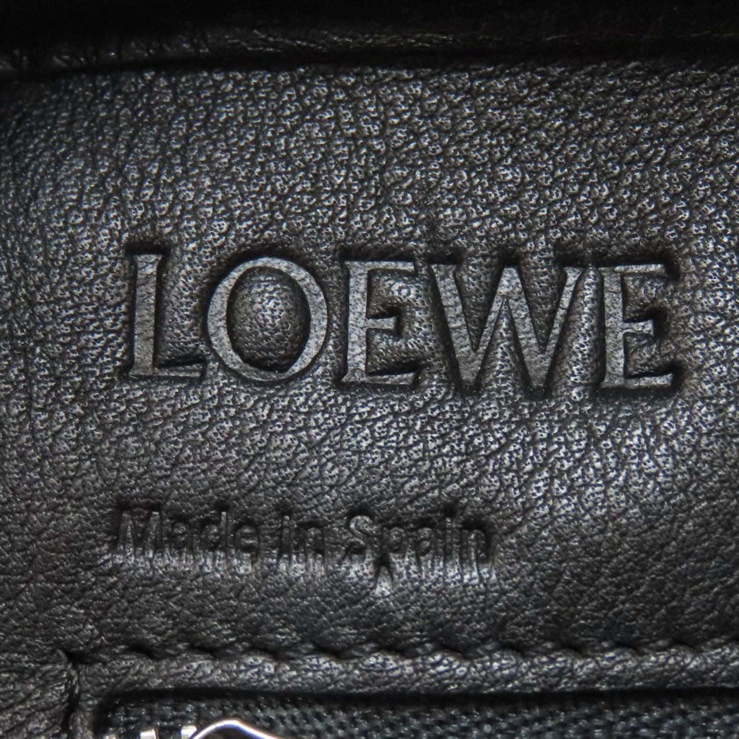 Loewe Amazona 2-Way Handbag In Calfskin