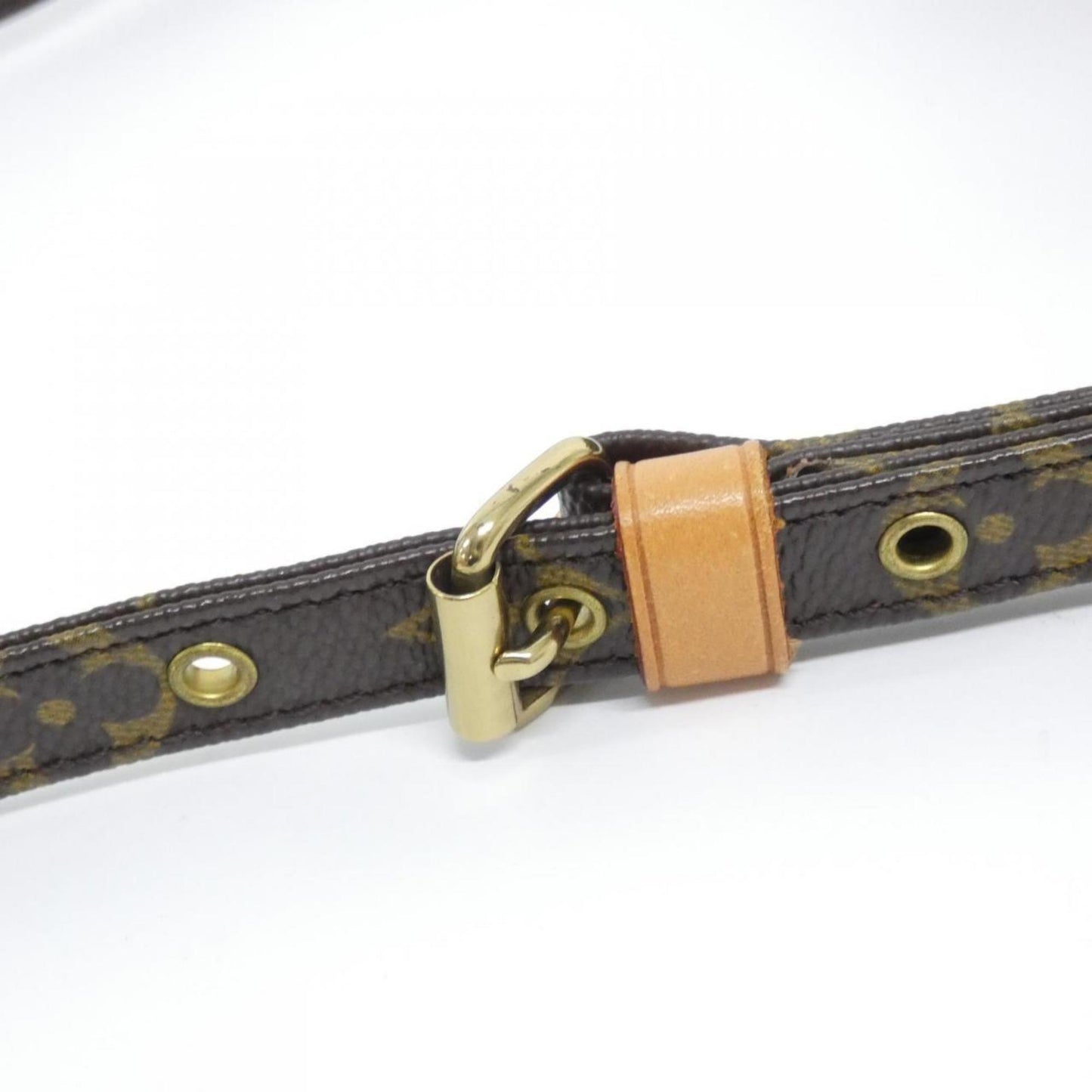 Louis Vuitton Monogram Amazon M45236 Shoulder Bag