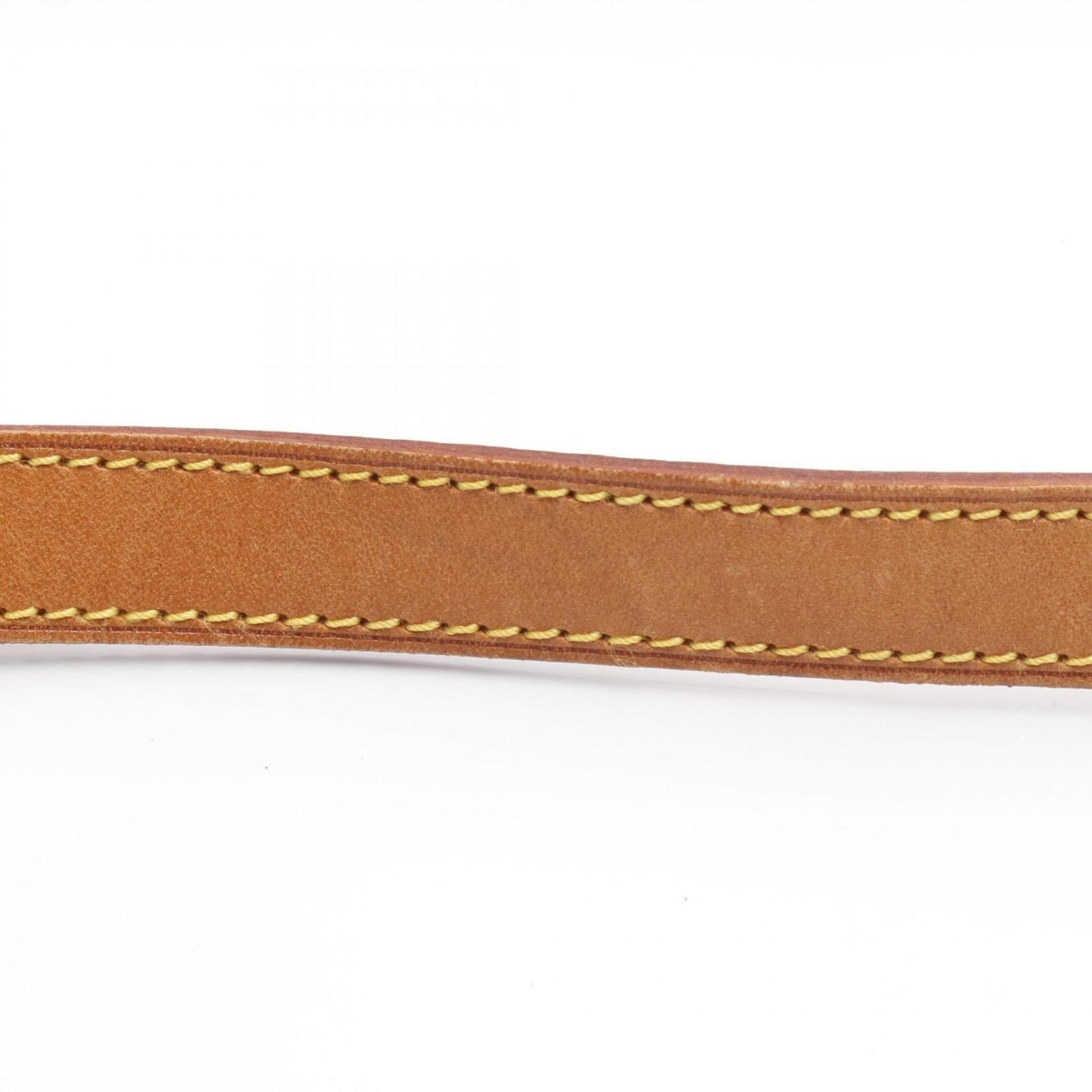 Louis Vuitton Saumur 30 Shoulder Bag