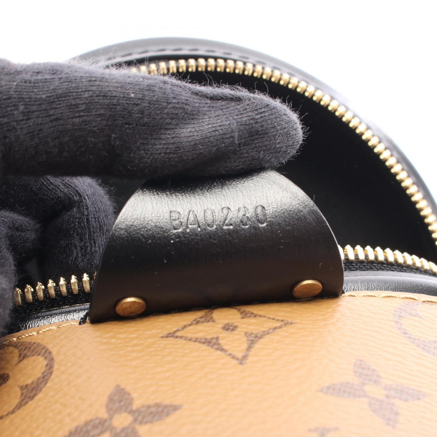 Louis Vuitton Cannes Handbag