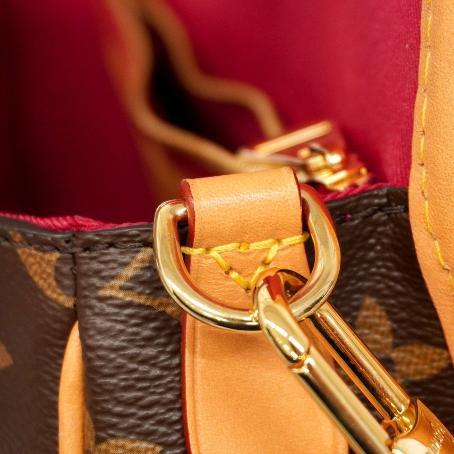 Louis Vuitton Monogram Diane Nmpm M46049 Handbag