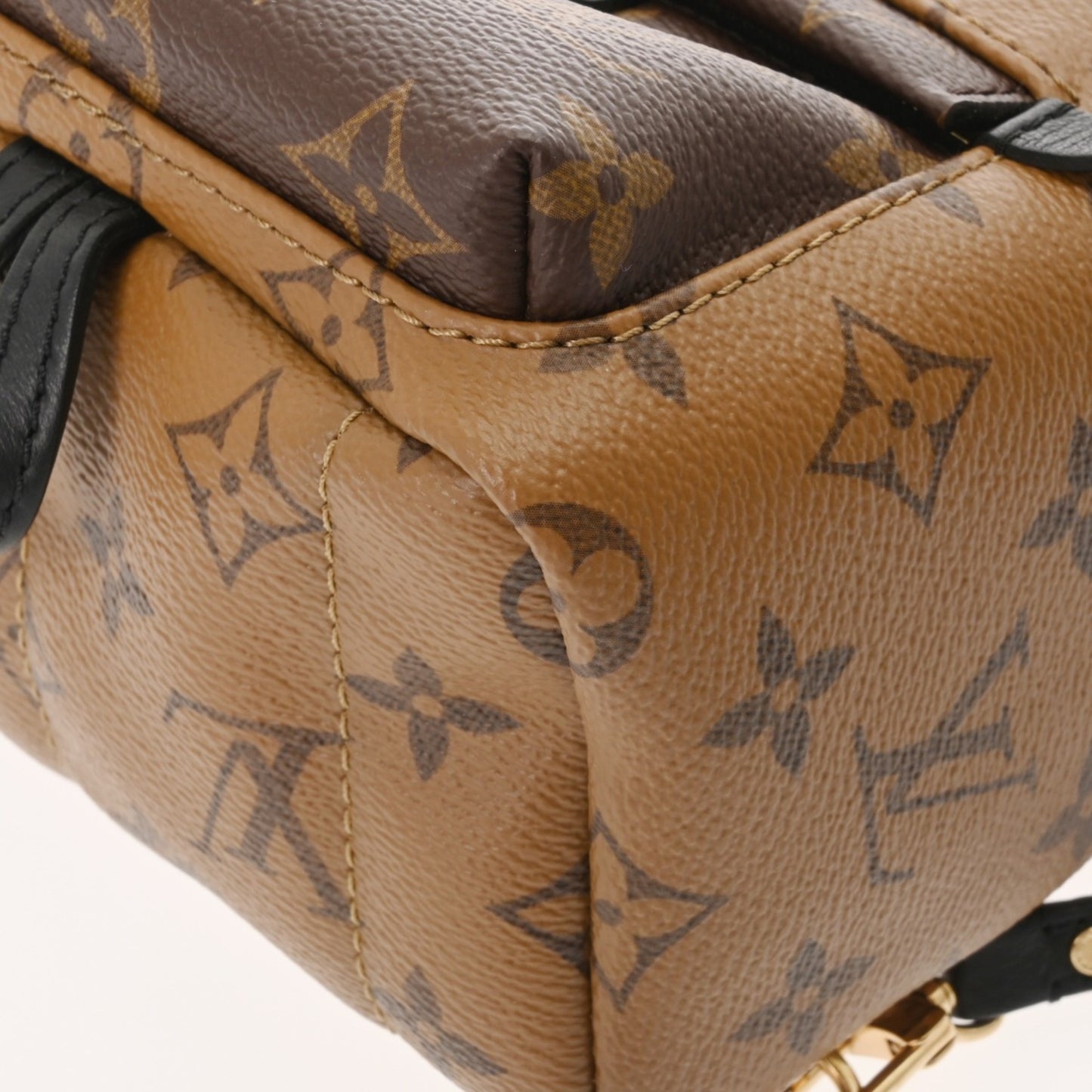 Louis Vuitton Monogram Reverse Palm Springs Mini Backpack