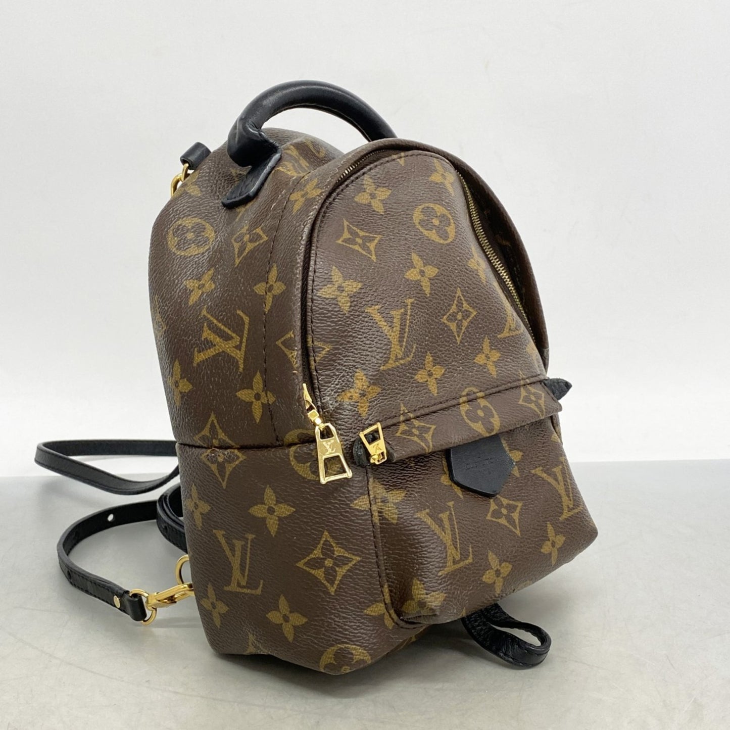 Louis Vuitton Monogram Palm Springs Backpack Mini M41562 Brown