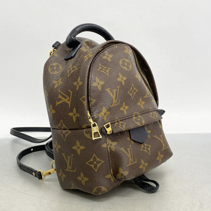 Louis Vuitton Monogram Palm Springs Backpack Mini M41562 Brown