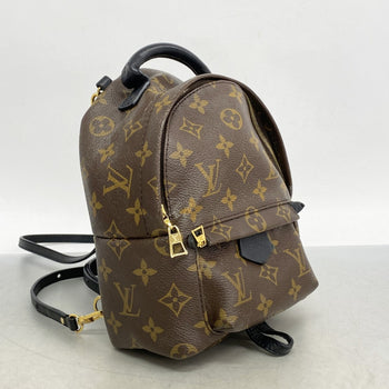 Louis Vuitton Monogram Palm Springs Backpack Mini M41562 Brown