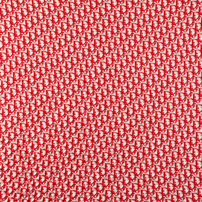 Christian Dior Dior Trotter Pleated Scarf