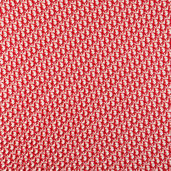 Christian Dior Dior Trotter Pleated Scarf
