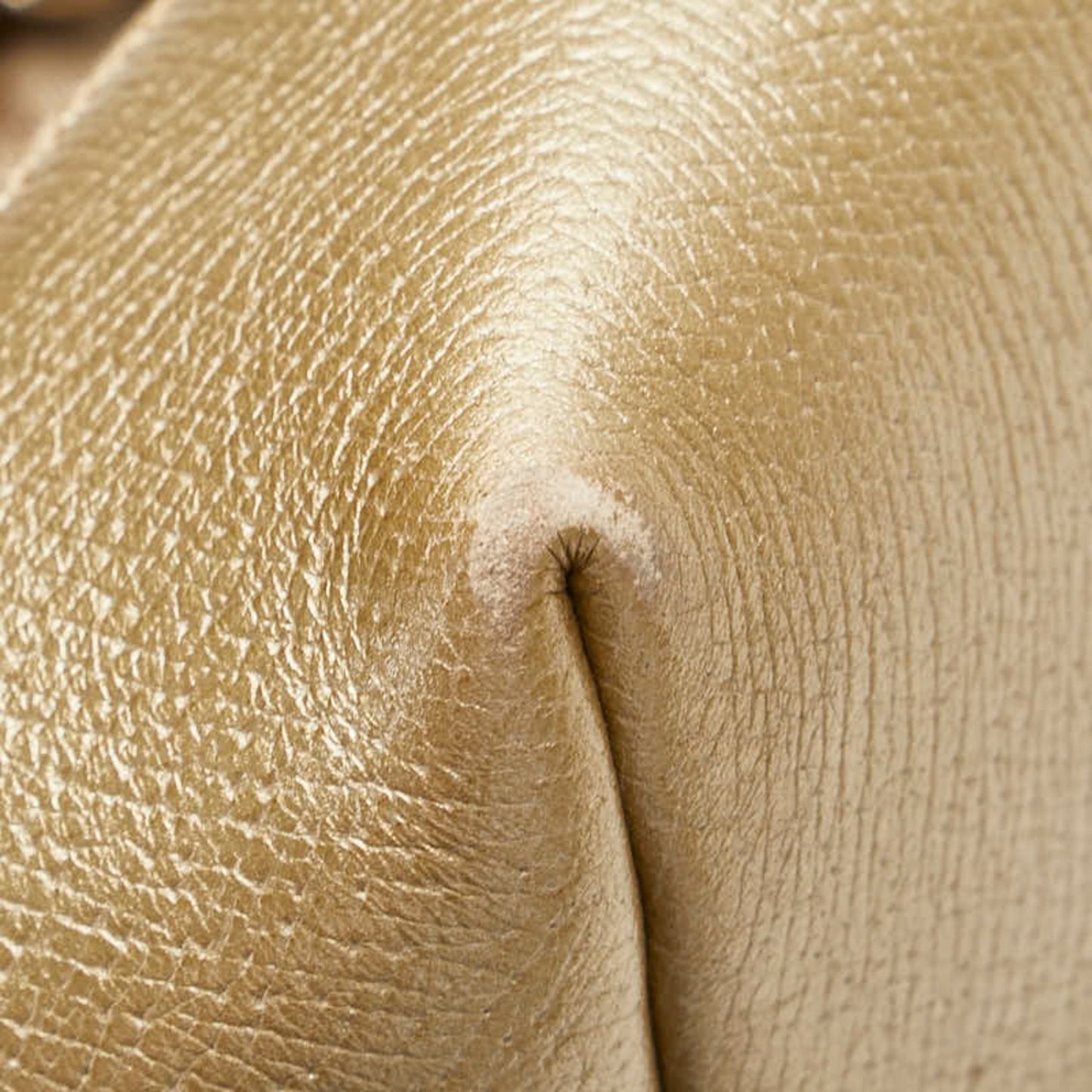 Gucci Gg Canvas Brie Handbag/Shoulder Bag 2Way 353120 Beige Gold Leather