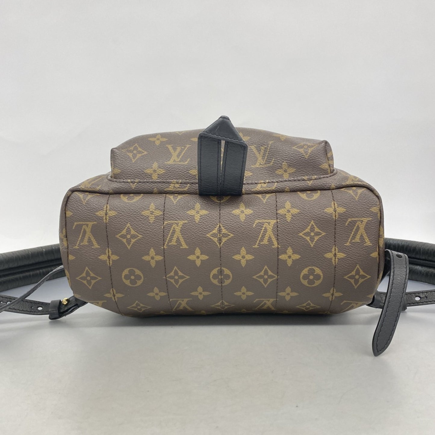 Louis Vuitton Monogram Palm Springs Backpack Mm M44874 Brown/Black