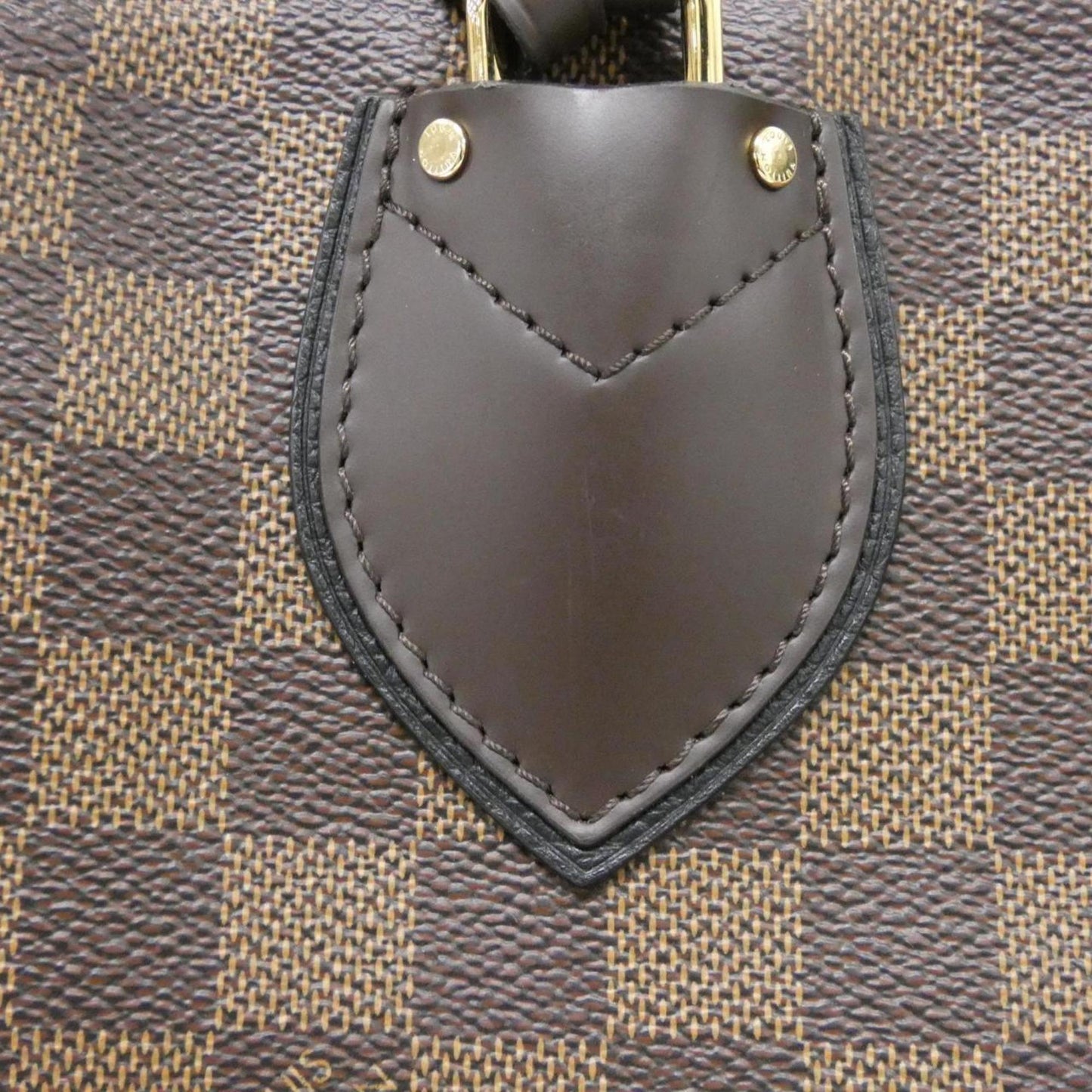 Canvas Louis Vuitton Handbag Coated