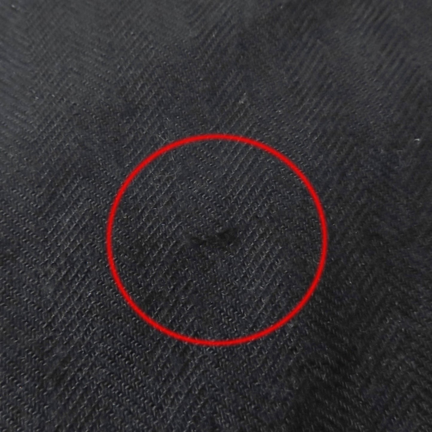 Hermes Carr Gien Amazonian Festival Cashmere