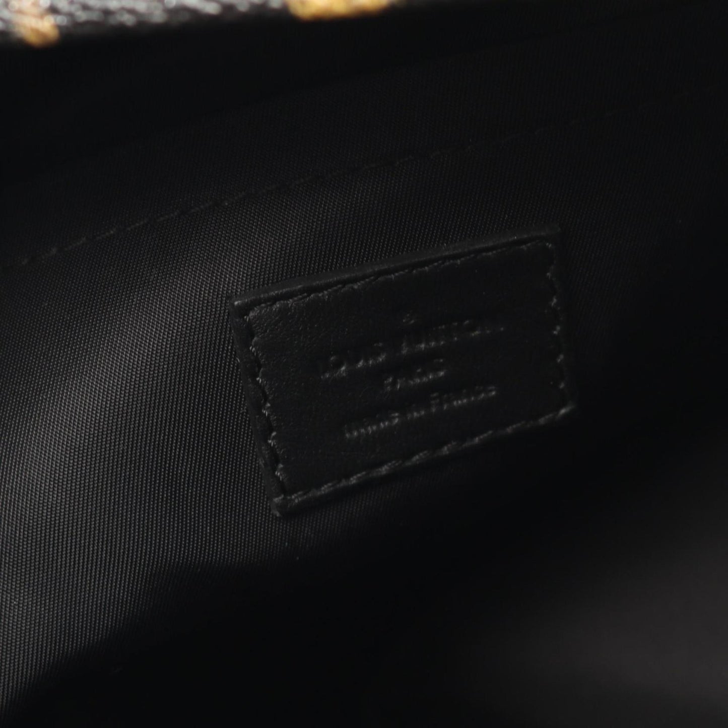 Louis Vuitton Palm Springs Pm Backpack Coated Canvas Leather