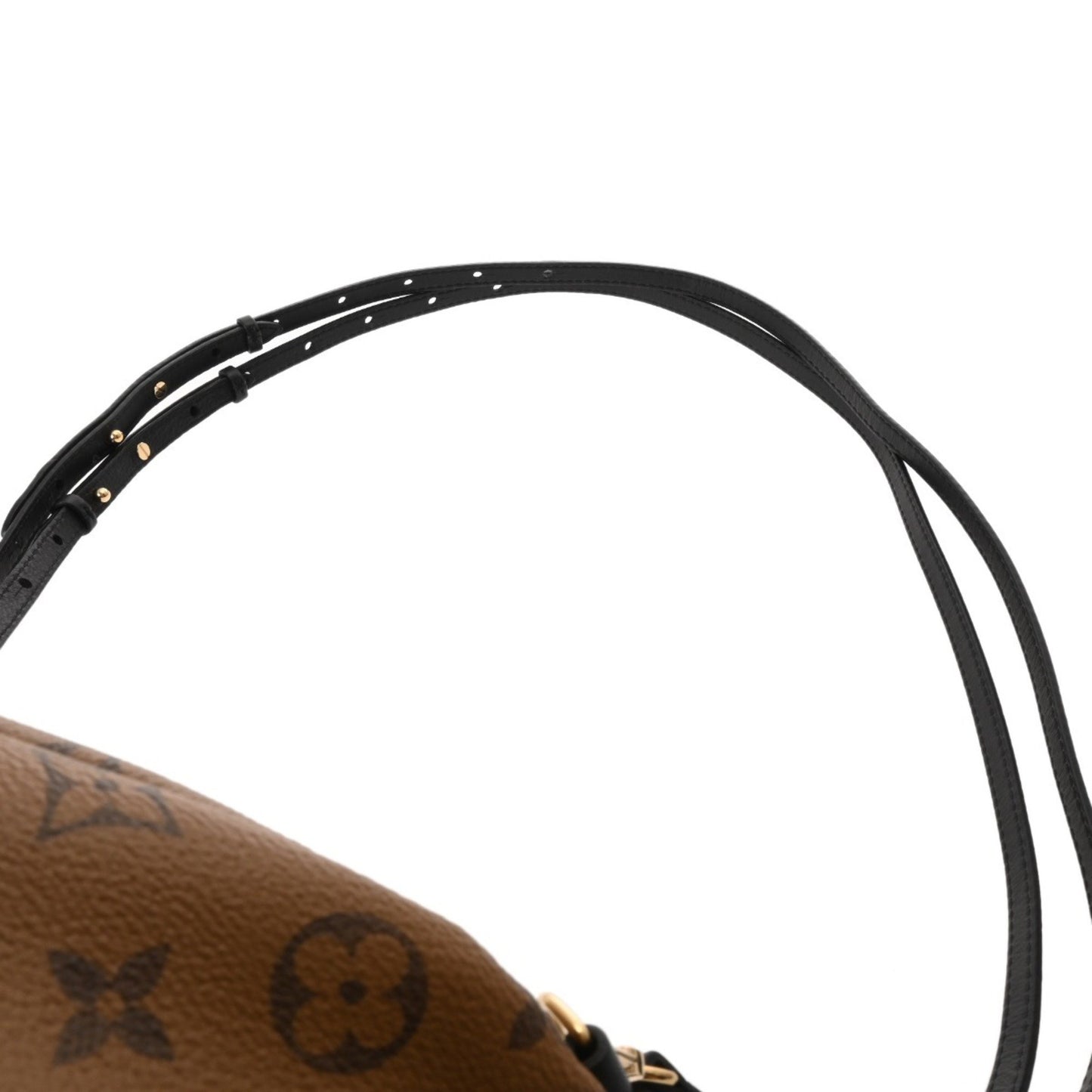 Louis Vuitton Monogram Reverse Palm Springs Mini Backpack