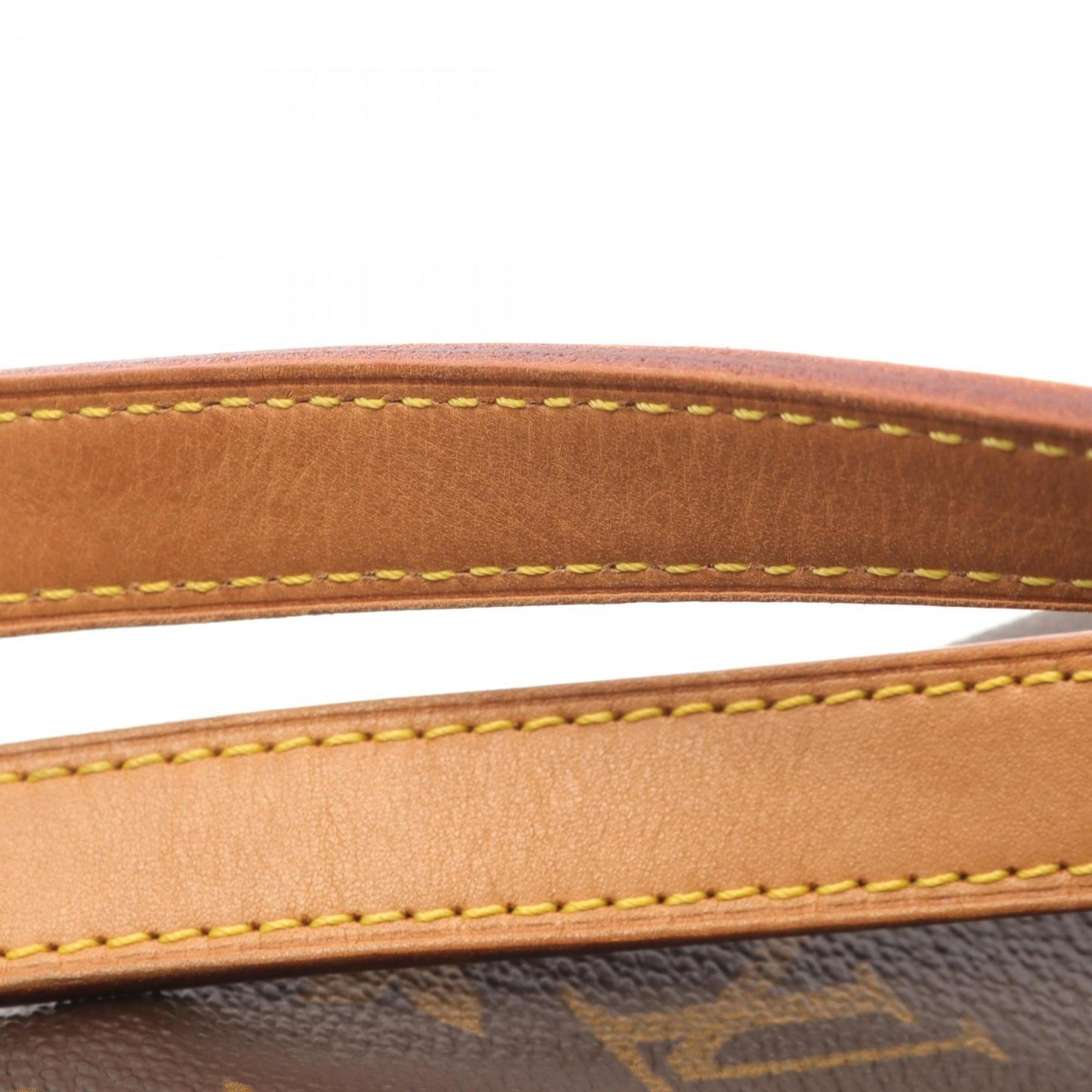 Louis Vuitton Montsouris Mm Backpack