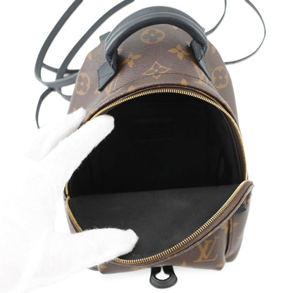 Louis Vuitton Monogram Palm Springs Backpack Mini M44873 Louis Vuitton