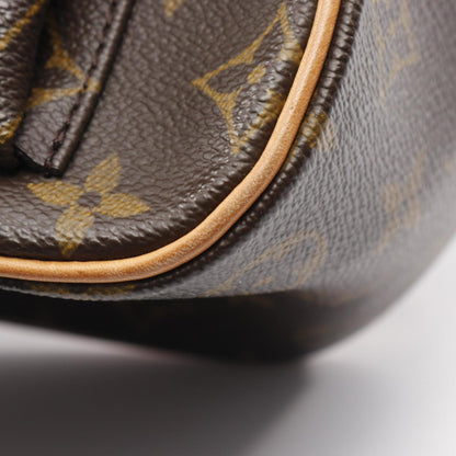 Louis Vuitton Excentricite Monogram Handbag