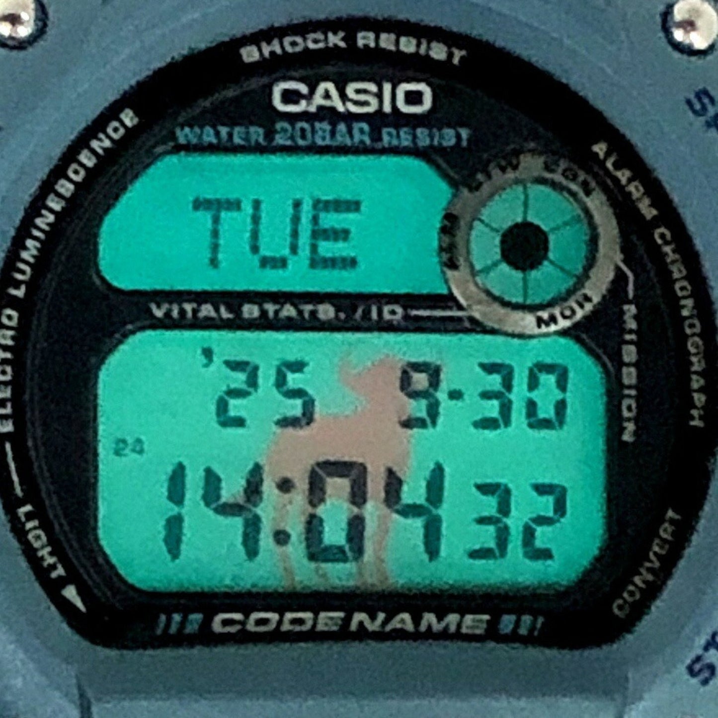 G-Shock Casio Dw-8800Mm-2T Watch