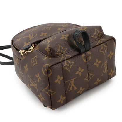 Louis Vuitton Monogram Palm Springs Backpack Mini