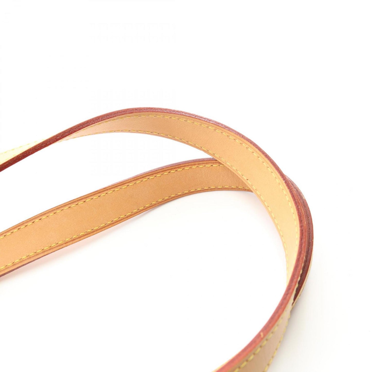 Louis Vuitton Luco Tote Bag