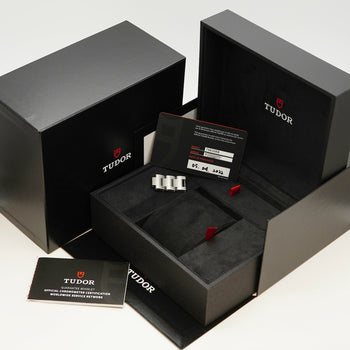 Tudor Black Bay 79830Rb Dial