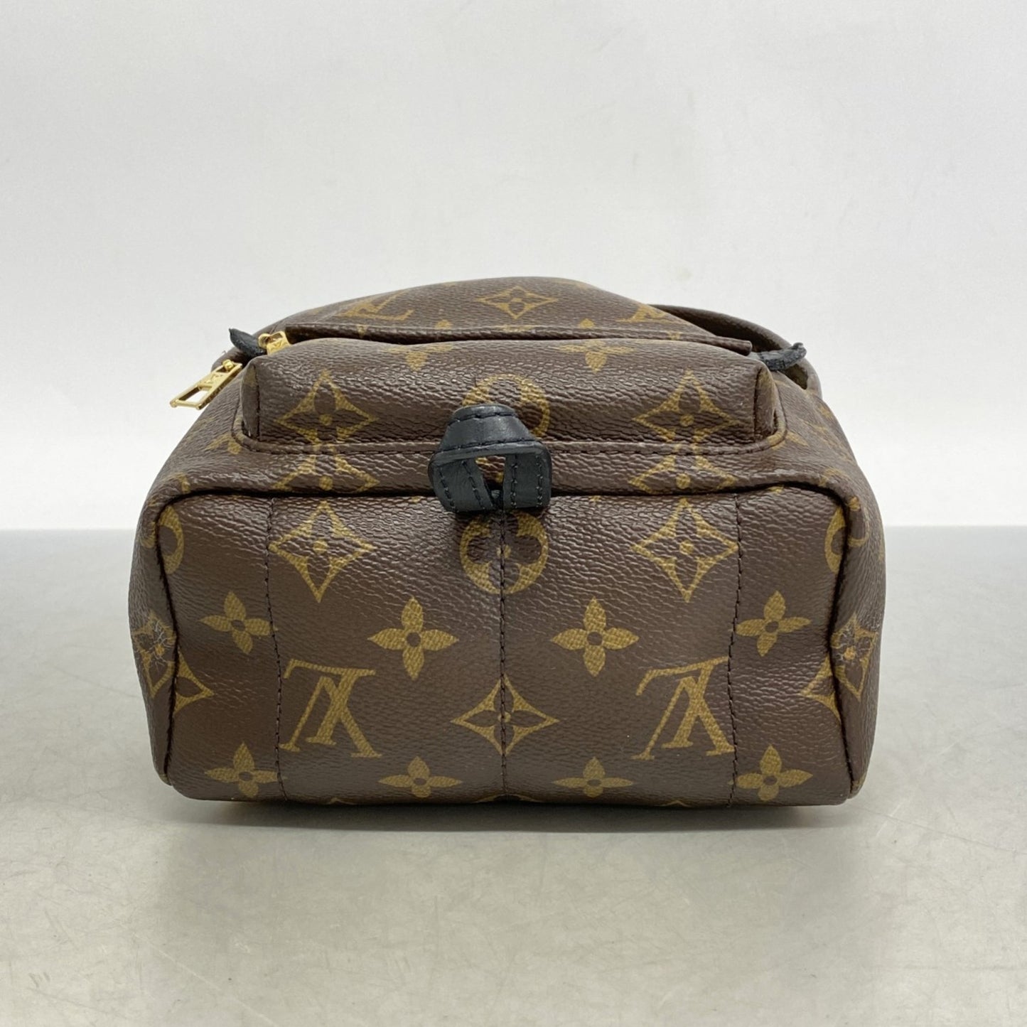 Louis Vuitton Monogram Palm Springs Backpack Mini M41562 Brown