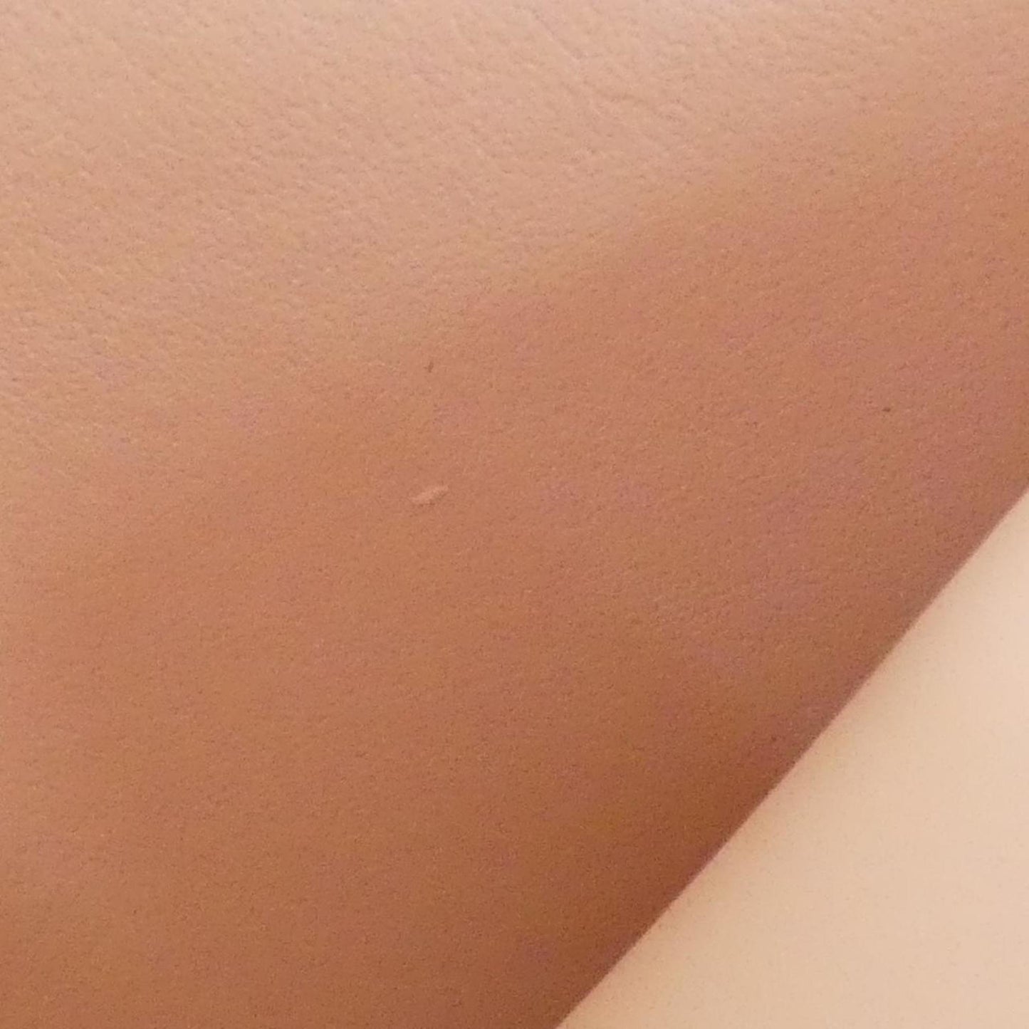 Louis Vuitton Taurillon Capucines Tiny Wallet M14667