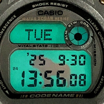 G-Shock Casio Dw-8800Mm-3T Watch