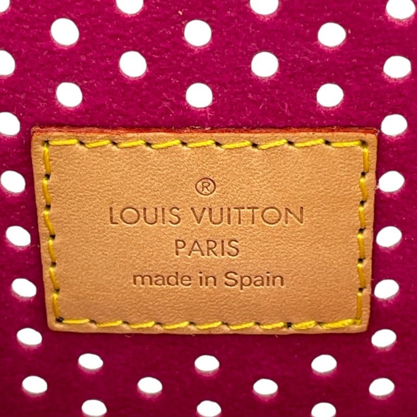 Louis Vuitton Louis Vuitton Pochette Accessoires M95183 Pouch