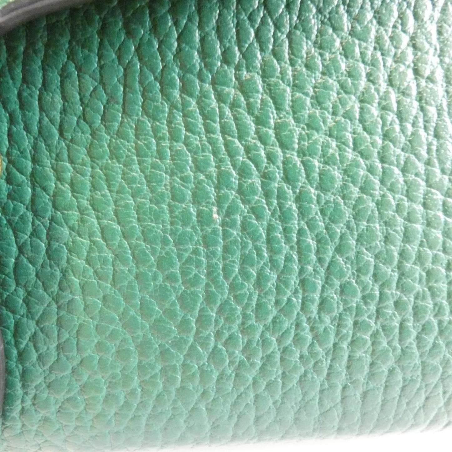 Gucci Dionysus 401231 Caogx Wallet Chain