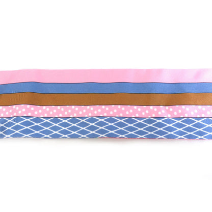 Hermes Scarf Muffler Twilly Silk Blue/Multicolor