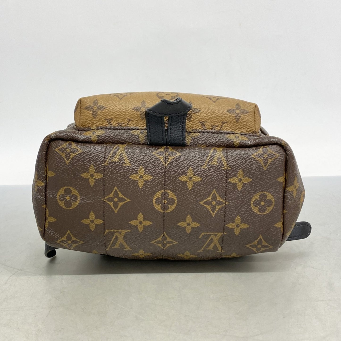 Louis Vuitton Monogram Reverse Palm Springs Pm Backpack M44870 Brown