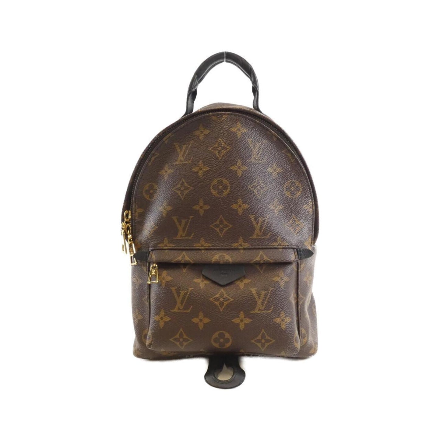 Louis Vuitton Monogram Palm Springs Backpack Pm M41560