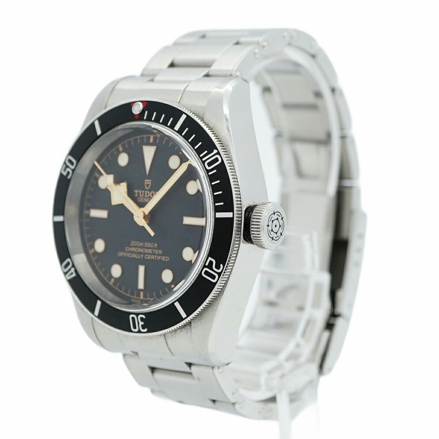 Tudor Heritage Black Bay 79230N Dial