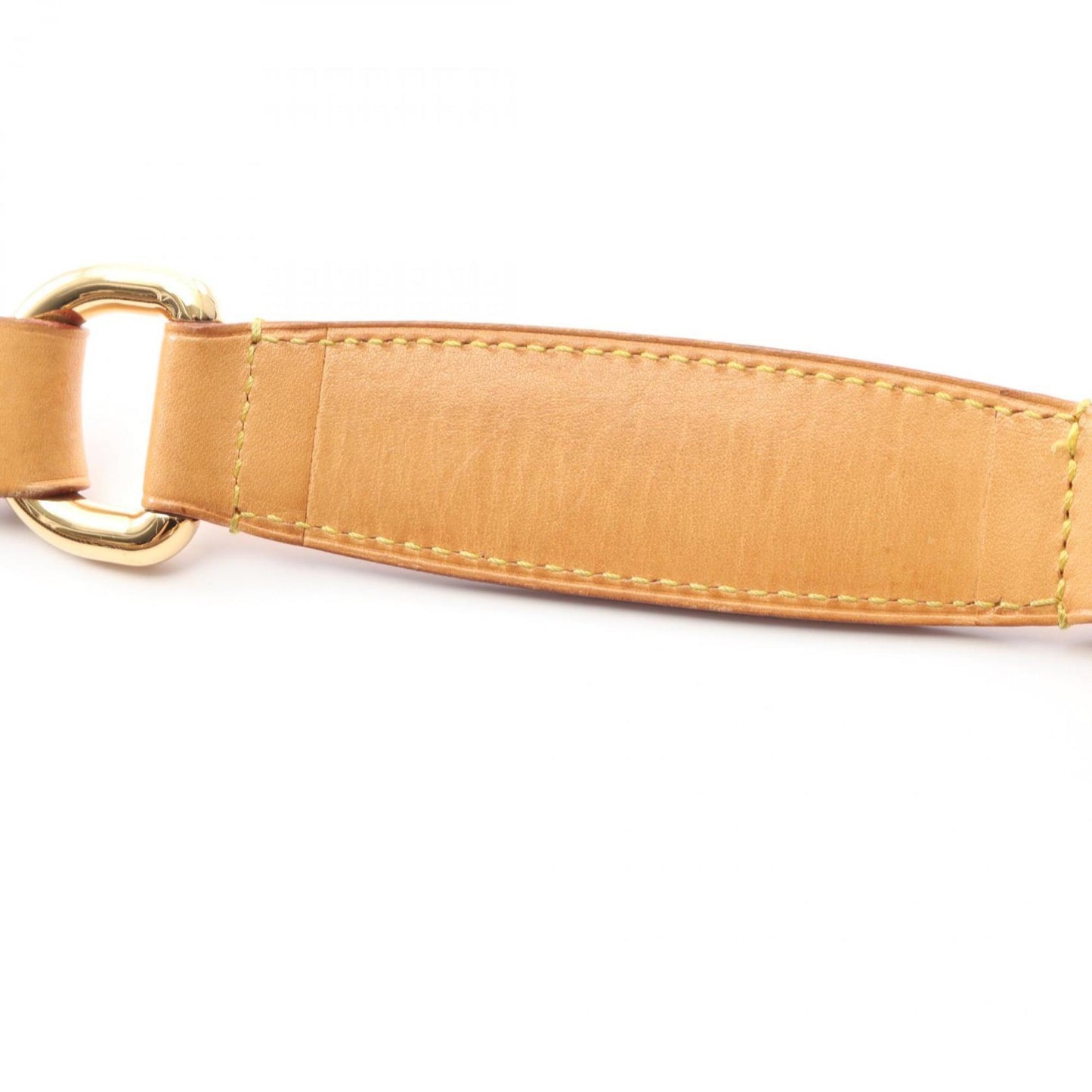 Louis Vuitton Toulon Pm Shoulder Bag