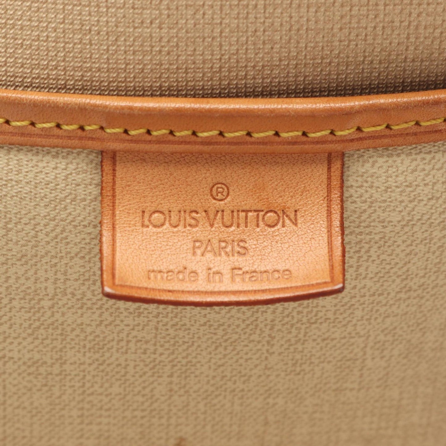 Louis Vuitton Excursion Handbag