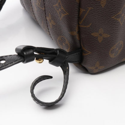 Louis Vuitton Palm Springs Backpack Pm Rucksack Coated Canvas Leather Monogram
