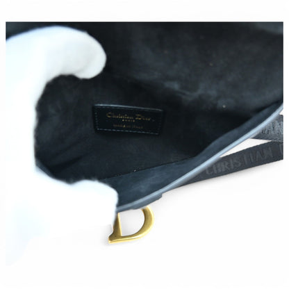 Dior Saddle Bag Waist Cd Hardware